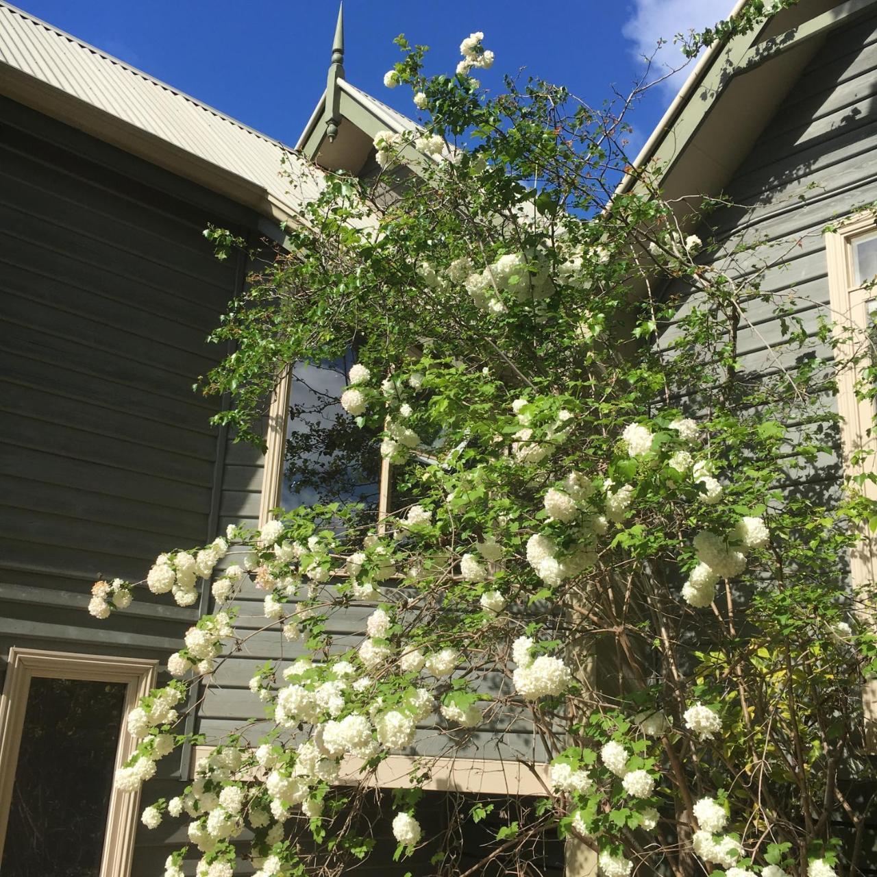 Oak Tree Lodge Rhyll Exterior foto
